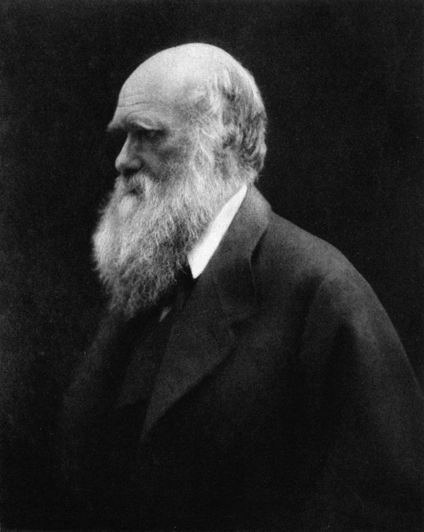 800px-Charles_Darwin_by_Julia_Margaret_Cameron_2.thumb.jpg.3b513f092fb83fb34a8aadeb0c986290.jpg