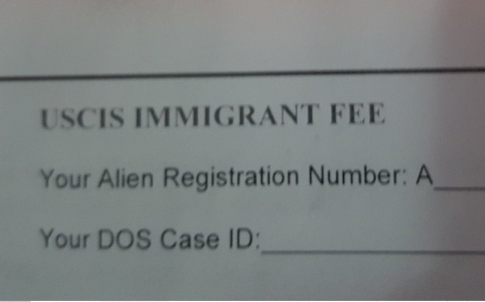 Alien registration number что это