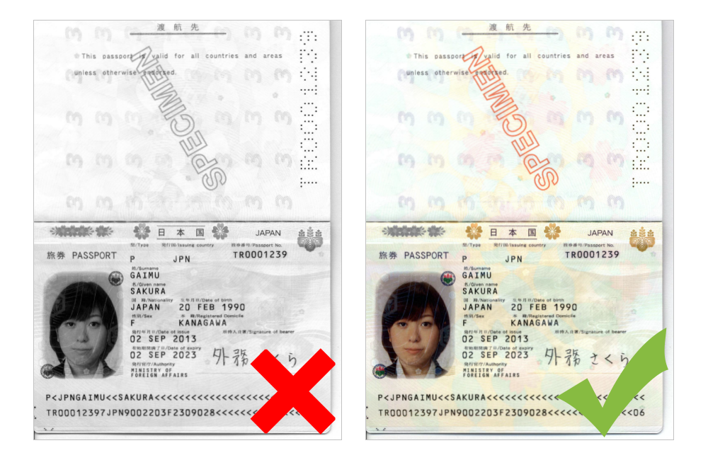 what is biography passport page